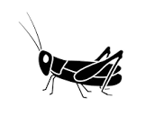 1706906875265.png
