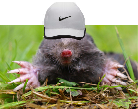 upload_2019-2-13_12-56-47.png